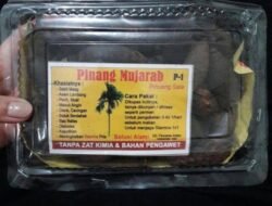 Manfaat Pinang Asap Khas Aceh yang Perlu Anda Ketahui
