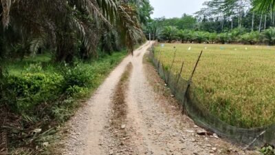 Kades Halaban Tepis Dugaan Penyelewengan DD hingga Rp1 Milar Lebih